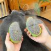 3 In 1 Cat Grooming Steam Brush Hair Brush with Steamer Pet Massage Comb Cleaning Brush for Cats Dogs USB Rechargeable