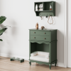 Pet Storage Cabinet with Wall Mounted Cabinet, 2 Drawers and Semi-Open Space, Hidden Cat Litter Box, Multi-Functional End Table-Green
