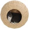 Cat Shelf Condo /Cat Bed