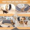 Cat Wheel 4-in-1 Cat Exercise Wheel,Upgraded Cat Wheel Exerciser for Indoor Cats,Large Cat Treadmill,Cat Running Wheel with Silent Wheel