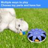 FluffyDream Automatic Electric Magnetic Spinning Cat Toys, Interactive, Rotation Cat Exercise Teaser Toy with Emulational Mouse, Fluffy Tails