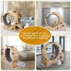 Cat Wheel 6-in-1 Cat Exercise Wheel,Upgraded Cat Wheel Exerciser for Indoor Cats,Large Cat Treadmill,Cat Running Wheel with Silent Wheel