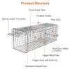 Humane Cat Trap Cage Catch Release Live Animal Rodent Cage Collapsible Galvanized Wire for Small Raccoons Beavers Groundhogs Foxes Armadillos