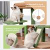 Cactus Cat Tree Tower with Sisal Scratching Post Board for Indoor Cats Condo Kitty Play House Perch rascador gato arbre √† chat