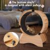 Cat Exercise Wheel ‚Äì Running, Spinning, and Scratching Fun, Cat Treadmill with Carpeted Runway, Kitty Cat Sport Toy
