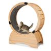 Cat Exercise Wheel ‚Äì Running, Spinning, and Scratching Fun, Cat Treadmill with Carpeted Runway, Kitty Cat Sport Toy